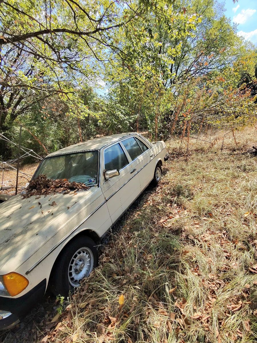 Barn Find Bonanza: Impala, Chevelle, Mercedes, Vintage Mopeds & Tools