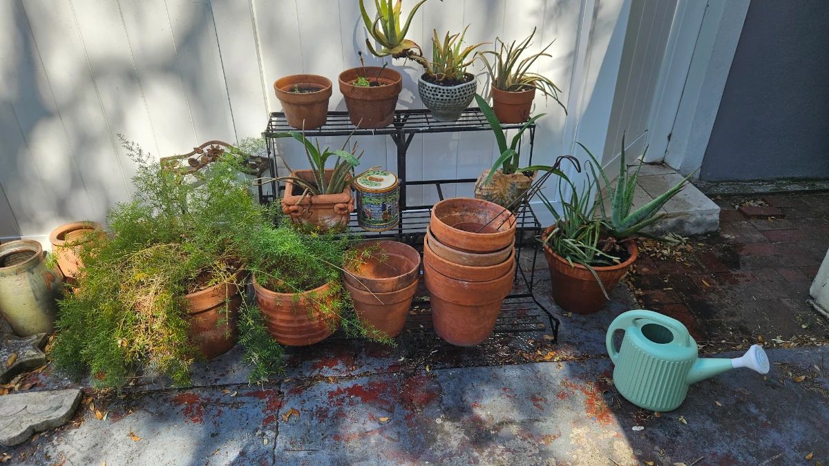 Thursday thru Saturday South Tampa Estate Sale