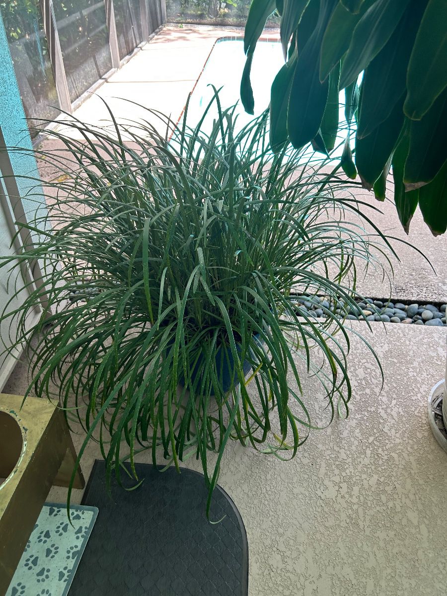 HEAVENLY HANDS ESTATE SALES - 1/2 PRICE ALL WEEKEND- 08/20-22/2026