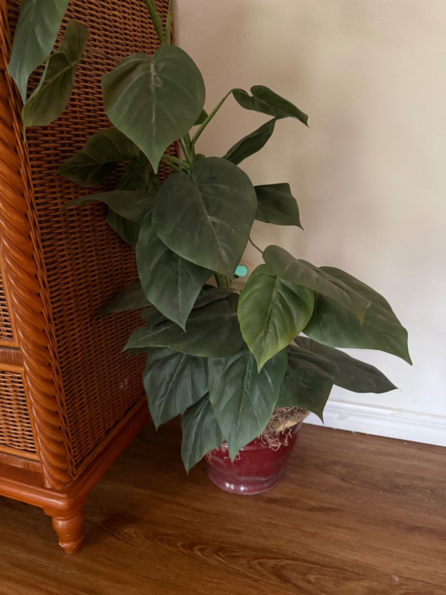 Estate Sale w/ Rustic Decor Village of Bonnybrook