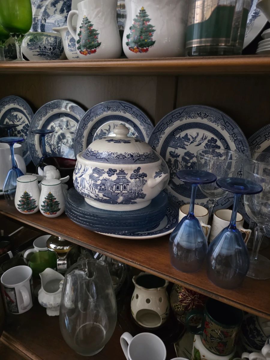 China Cat: Pickers Sale in Arlington! (Read Description to Book an Appointment)