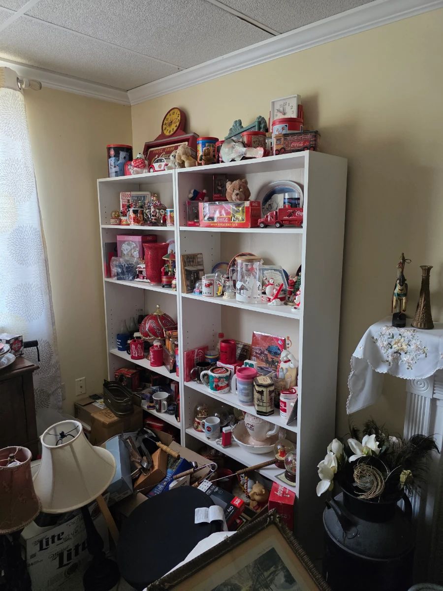 China Cat: Pickers Sale in Arlington! (Read Description to Book an Appointment)