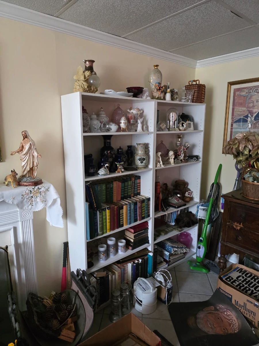 China Cat: Pickers Sale in Arlington! (Read Description to Book an Appointment)