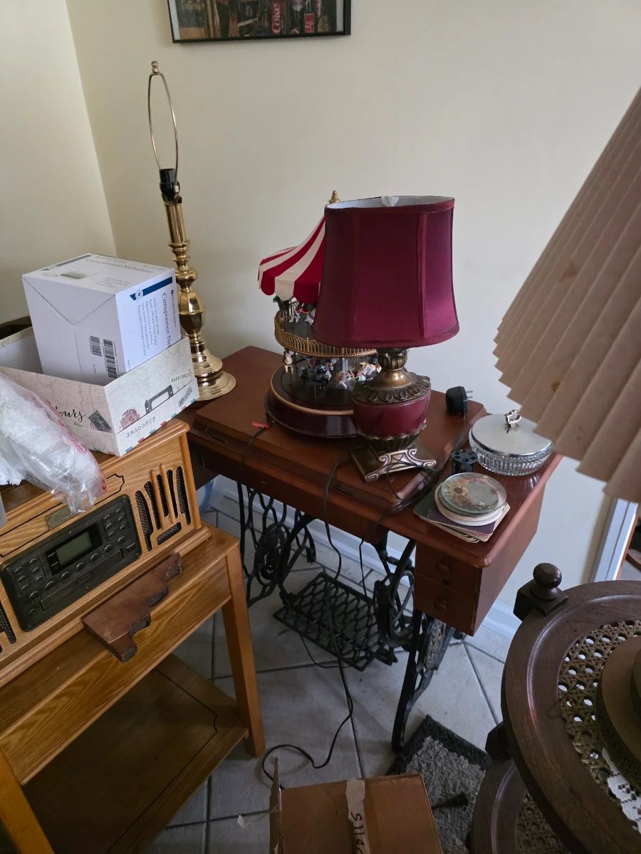 China Cat: Pickers Sale in Arlington! (Read Description to Book an Appointment)