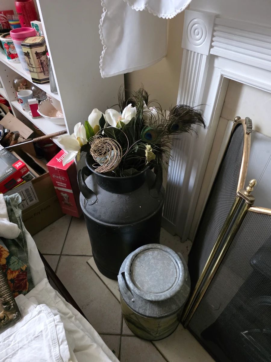 China Cat: Pickers Sale in Arlington! (Read Description to Book an Appointment)