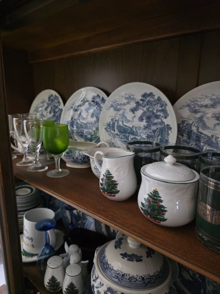 China Cat: Pickers Sale in Arlington! (Read Description to Book an Appointment)