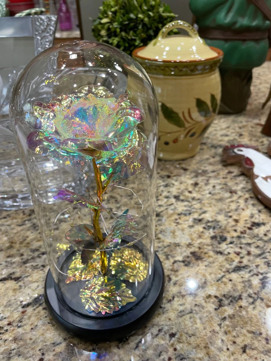 Moving sale      Juliet Falls     (Dunnellon  )