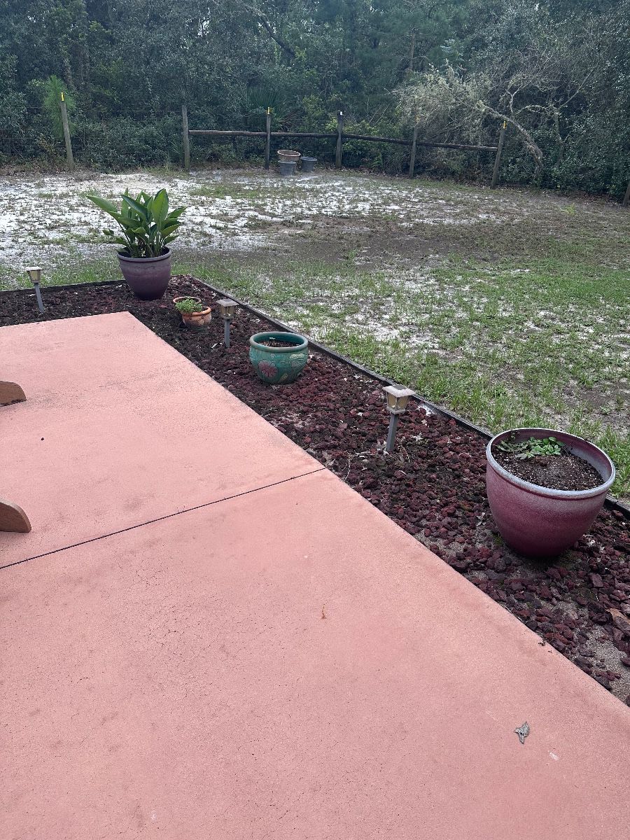 Midweek Sales Bonanza in Eustis!