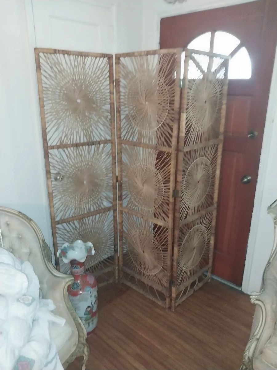 Hunting in Hialeah, construction, mid century modern