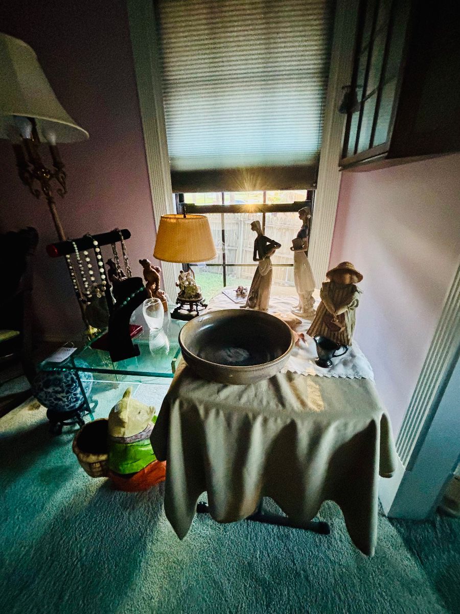 China Cat:Very Full House Off of Ft. Caroline at estate sale in Jacksonville, FL