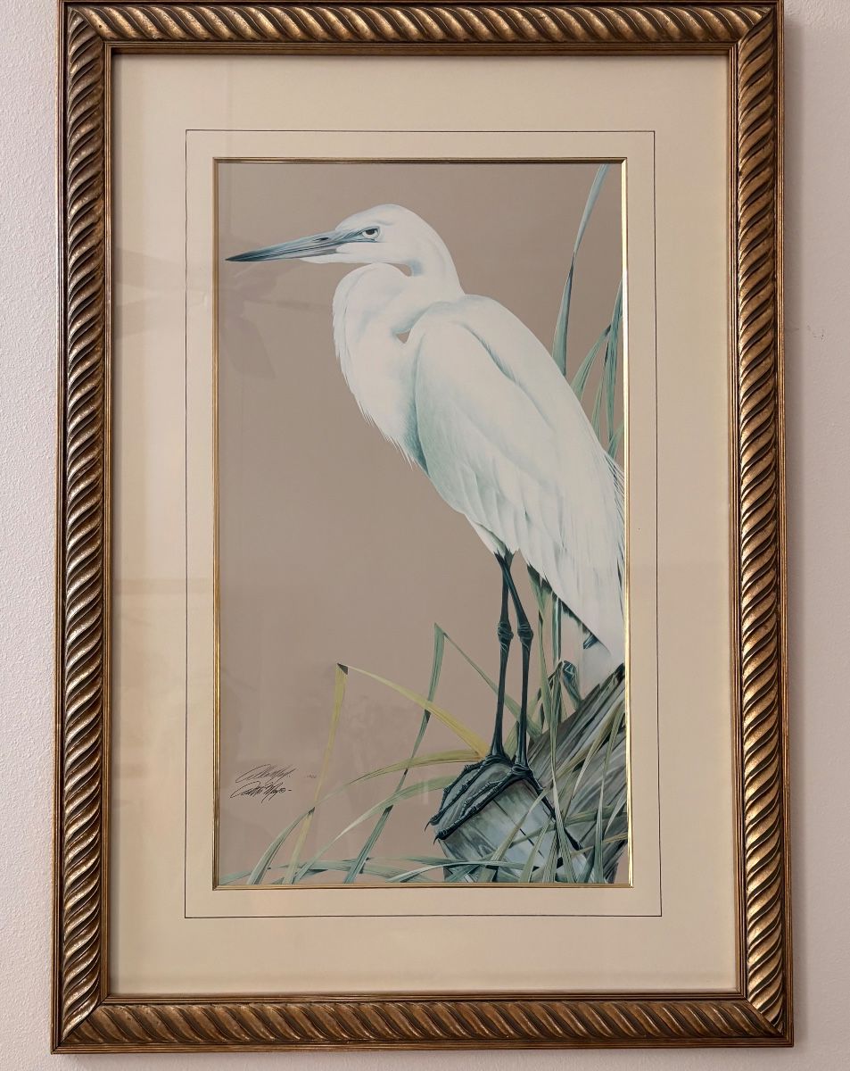 Tools, Treasures & Timeless Finds in Sugarmill Woods!