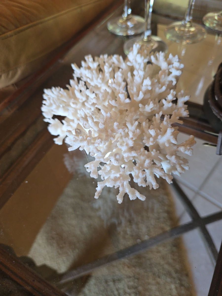 Pensacola Estate Sale