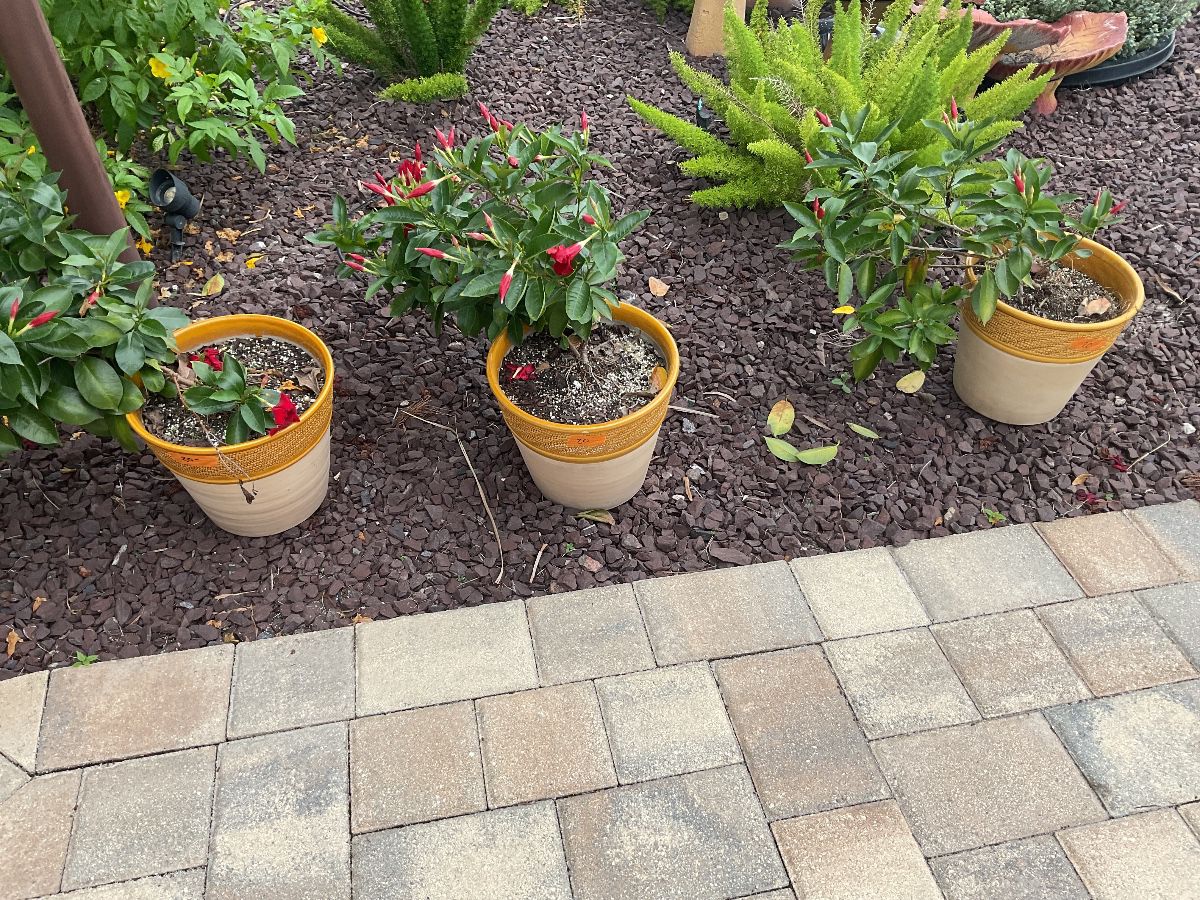 NICE SALE VILLAGE OF PINELLAS at estate sale in The Villages, FL