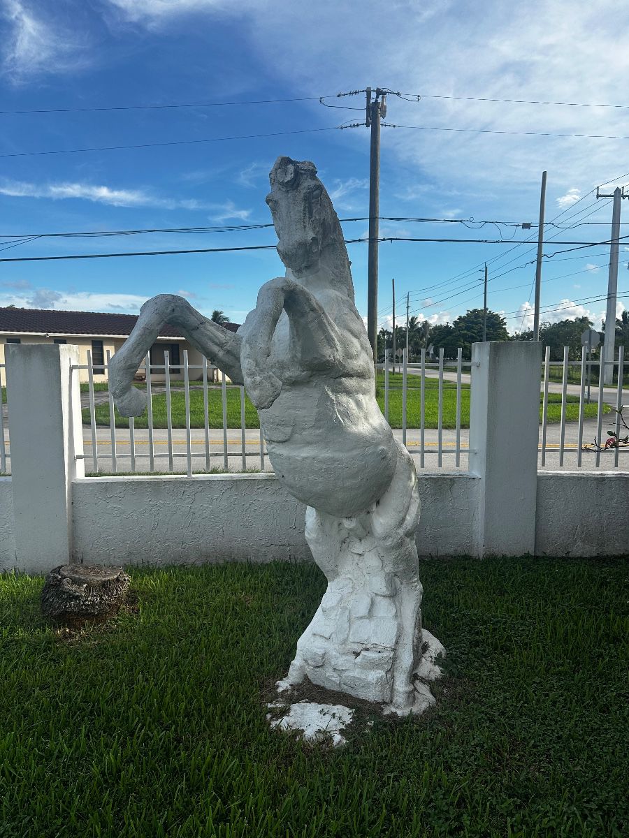 Coral Way Curated Collection