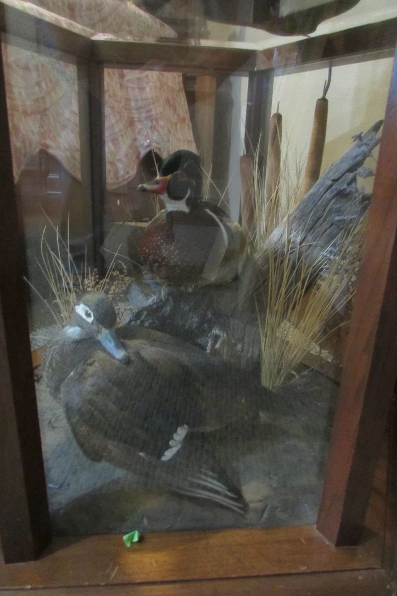 High End Estate Sale Belleair