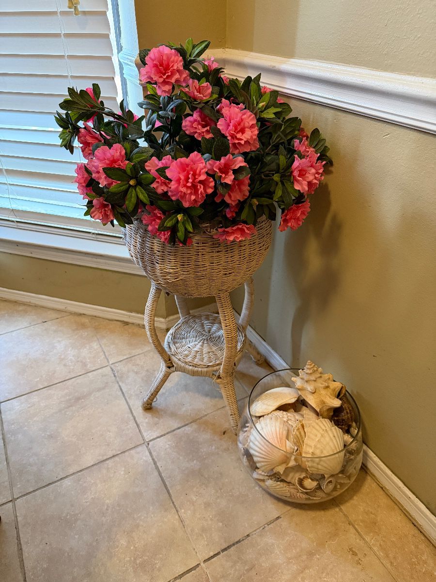 TIMBERS TREASURE TROVE Estate Sale