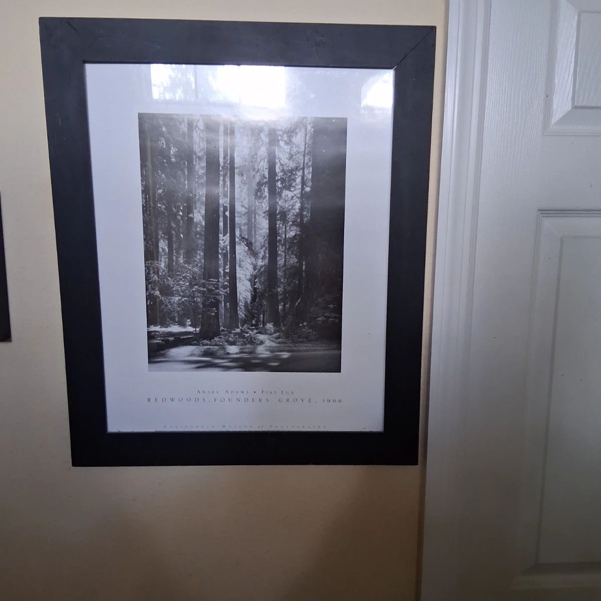 New Port Richey Estate Sale
