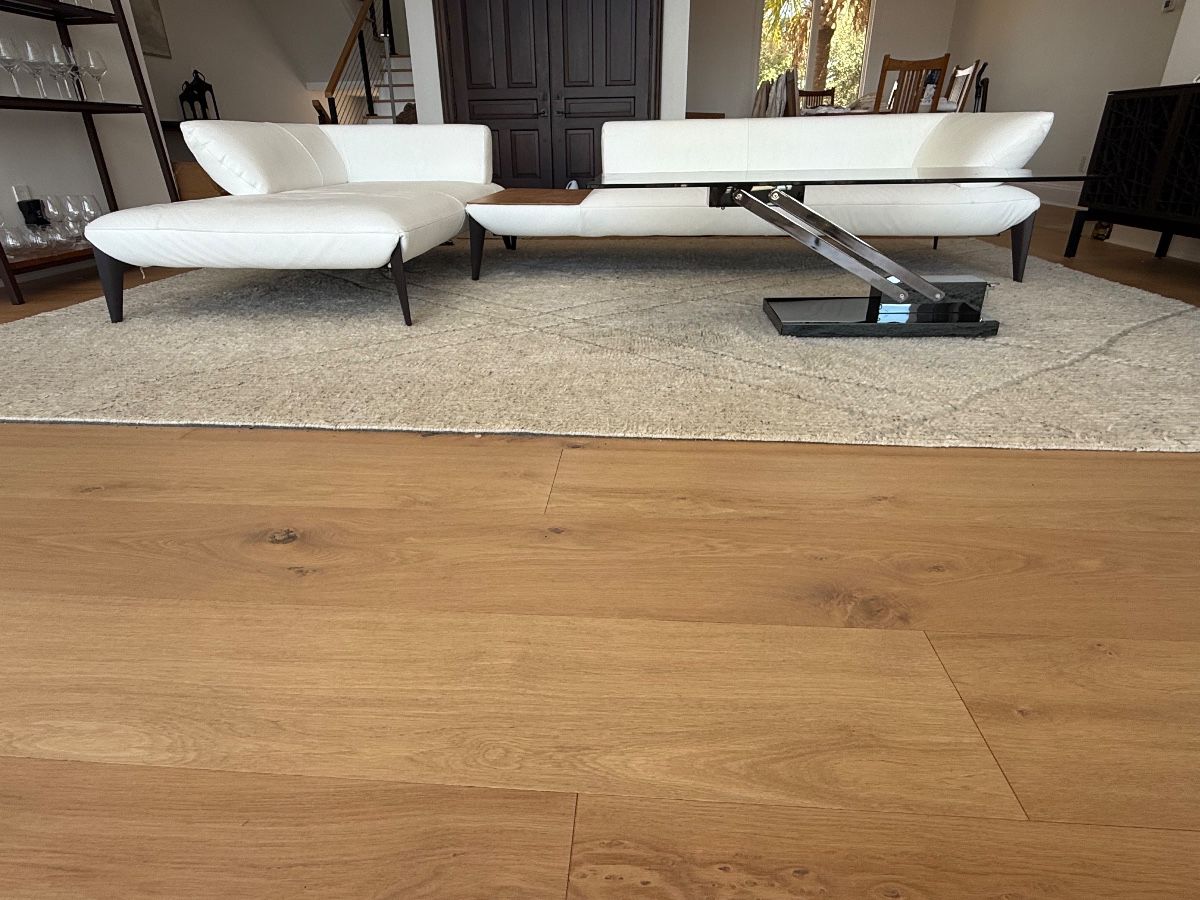 Waterfront  Contemporary Estate Sale  by Leigh Shell