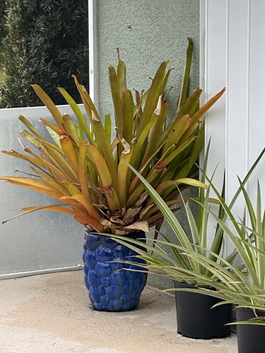 +++Snowbirds Arrive, Prices Dive In Punta Gorda Estate Sale