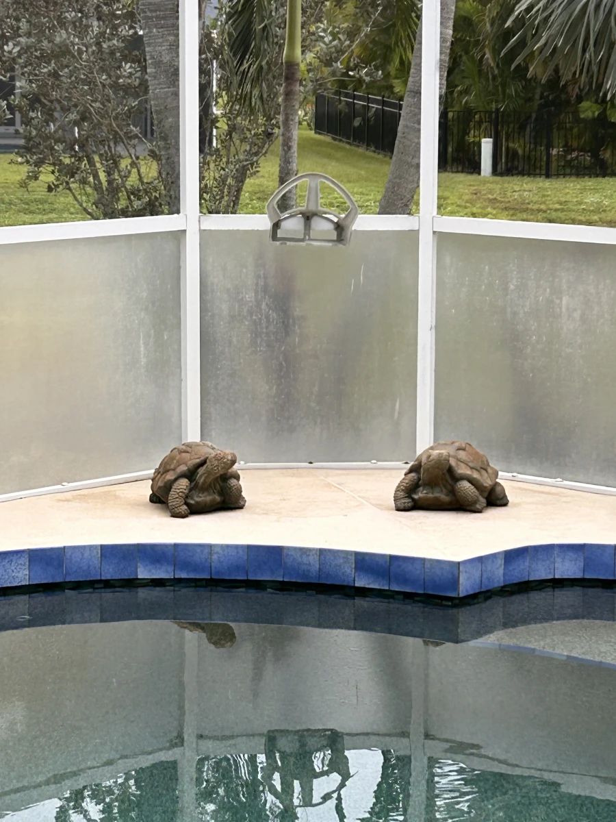 +++Snowbirds Arrive, Prices Dive In Punta Gorda Estate Sale