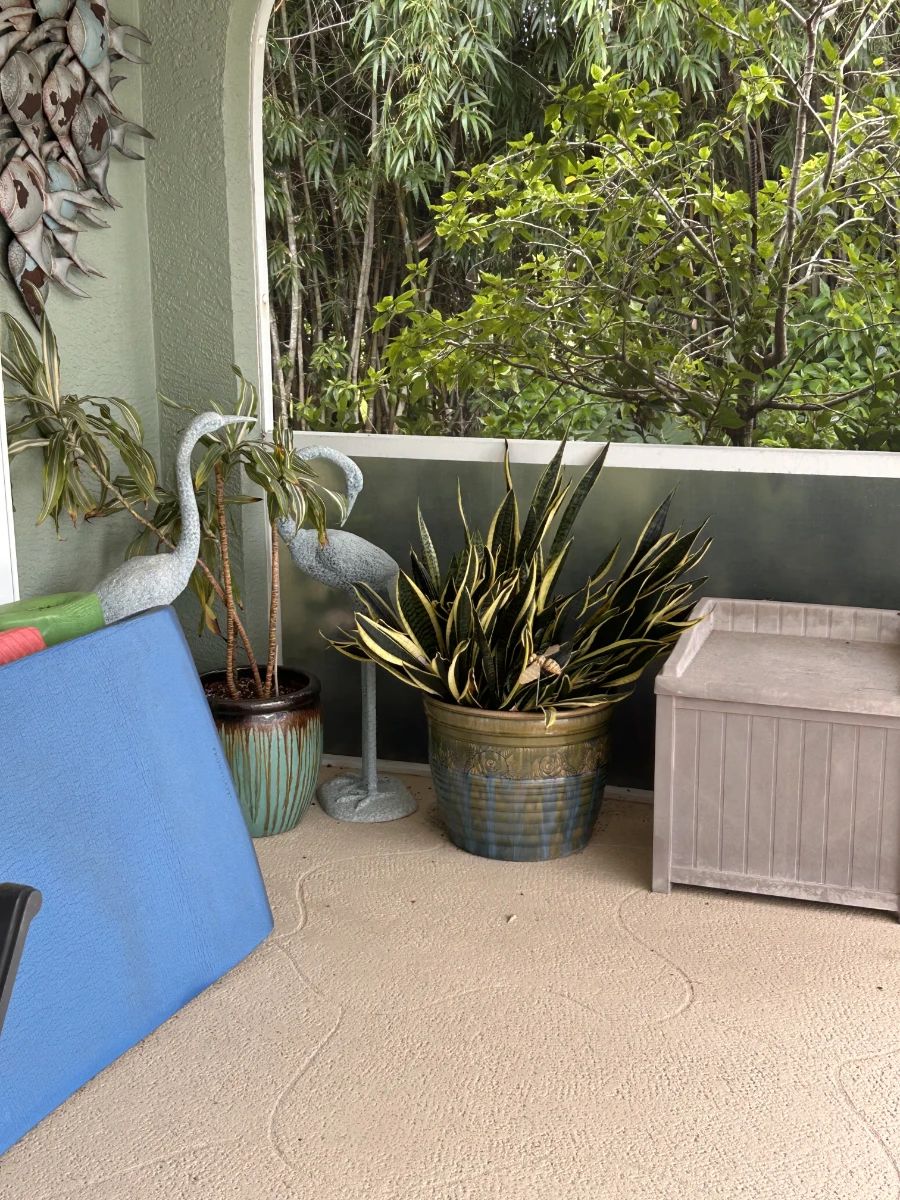 +++Snowbirds Arrive, Prices Dive In Punta Gorda Estate Sale