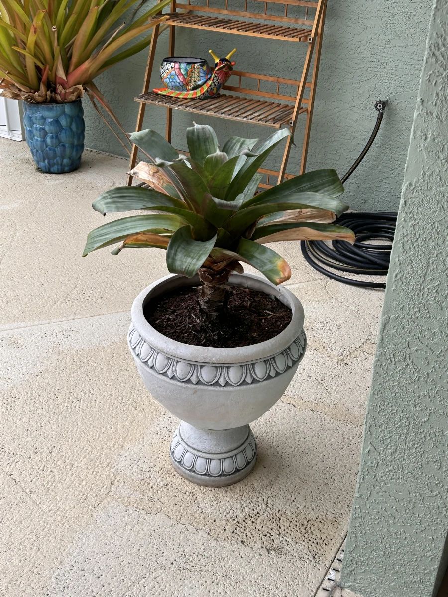 +++Snowbirds Arrive, Prices Dive In Punta Gorda Estate Sale