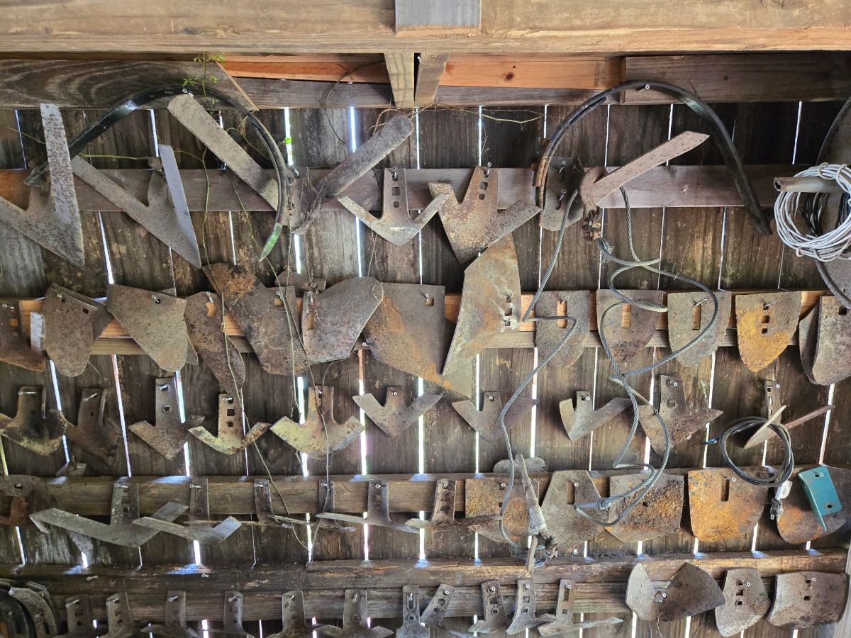 Newton Pickers Sale