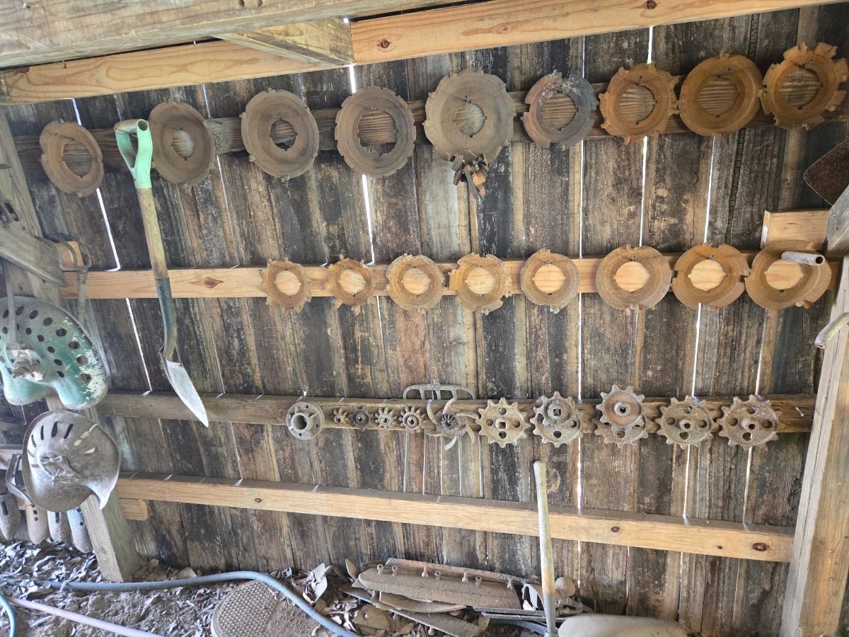 Newton Pickers Sale