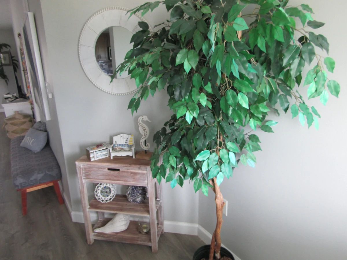 Clean, Cozy, Beachy Feel Home W/ Fun Contents
