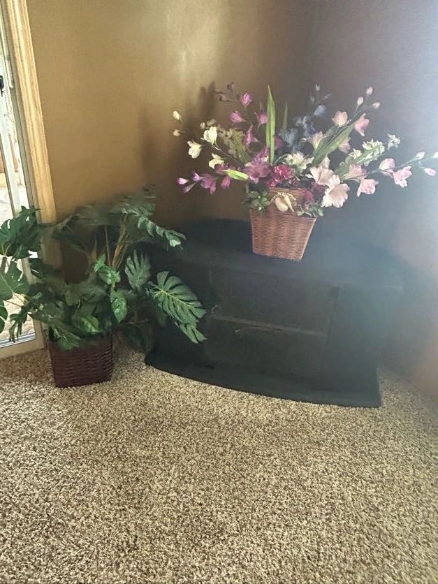 TCM Two Day Sale - In Belleview!