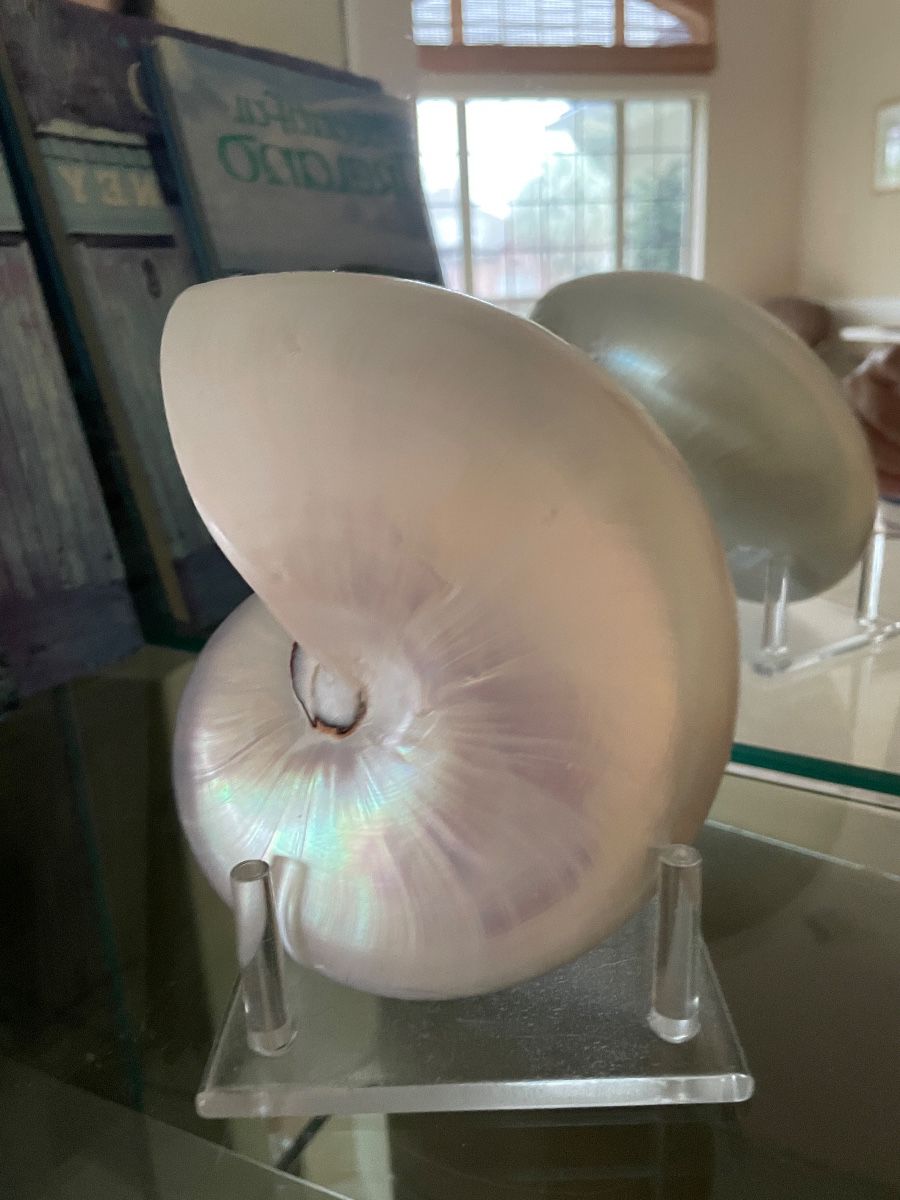 Full House Moving  Sale in PV Beach