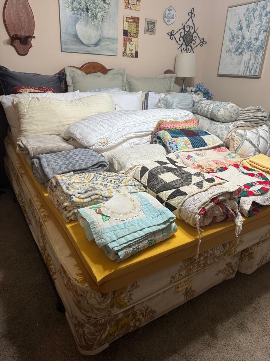 Awesome Sale on Alamo