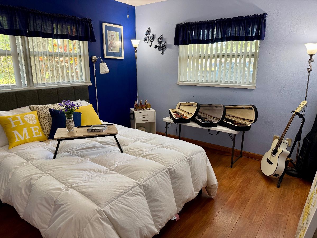 Musical Instruments Collection (Guitar & Violins)