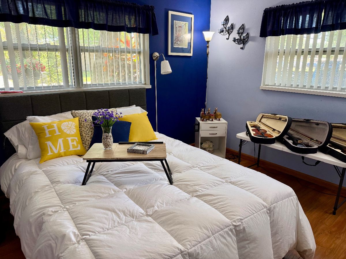 Musical Instruments - Violin Assortment