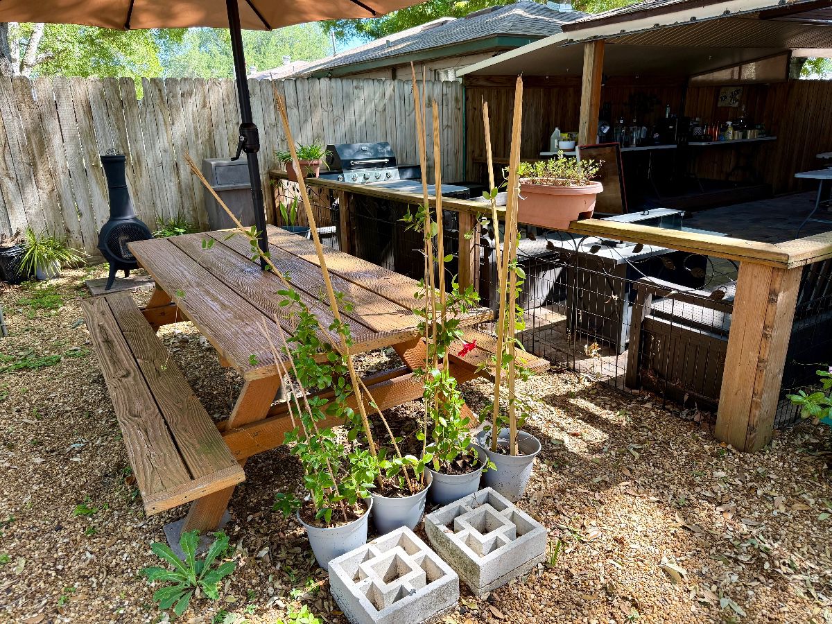 Outdoor Living Assortment