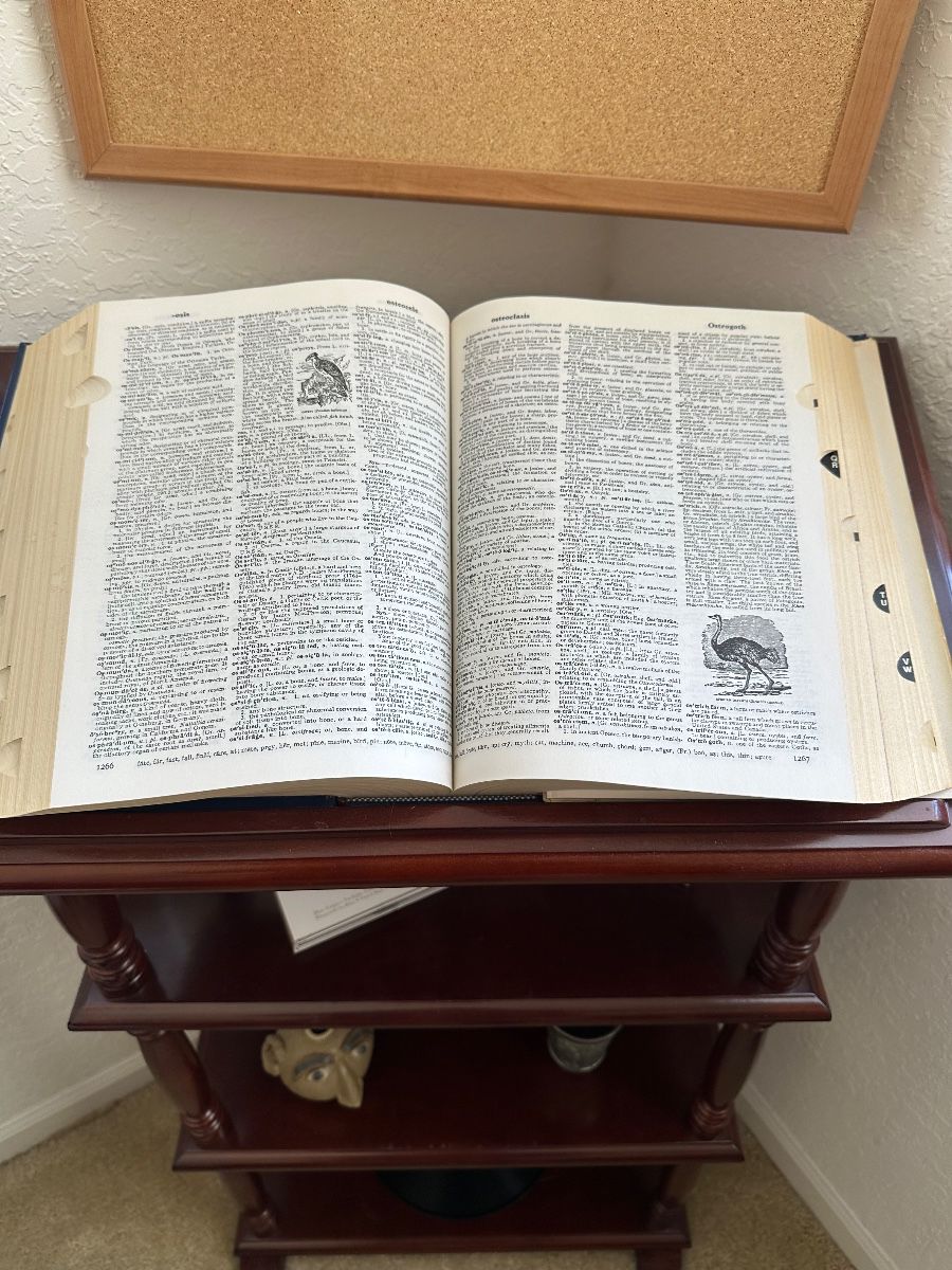 Webster's Unabridged Dictionary