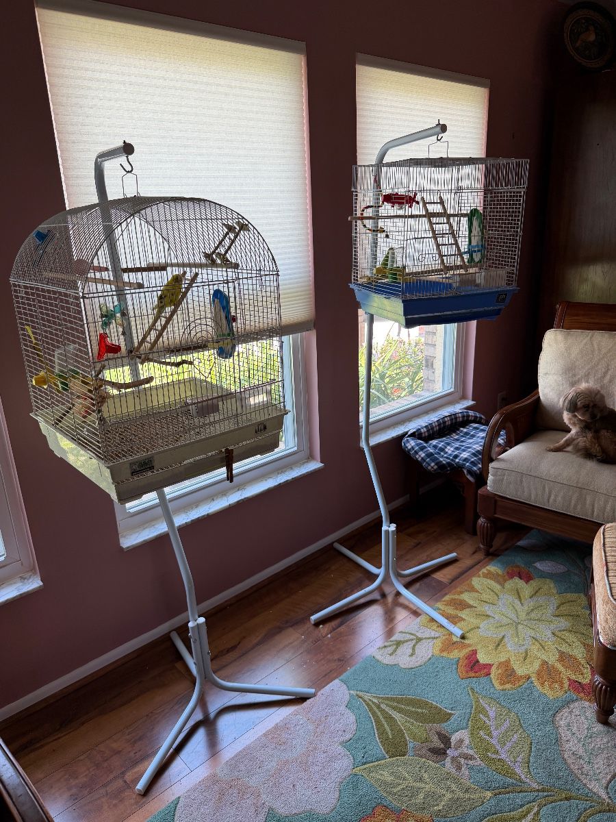 WHIMSICAL & ECLECTIC SALE IN PALM SHORES!!