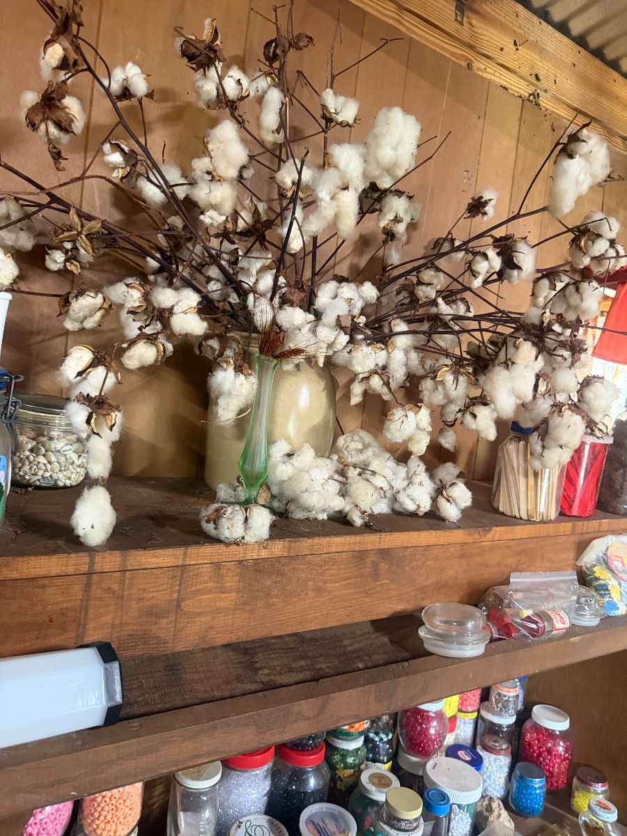 V Patton Plant City Hoarder Home with Everything you can think of MCM, Collectible Liquidation