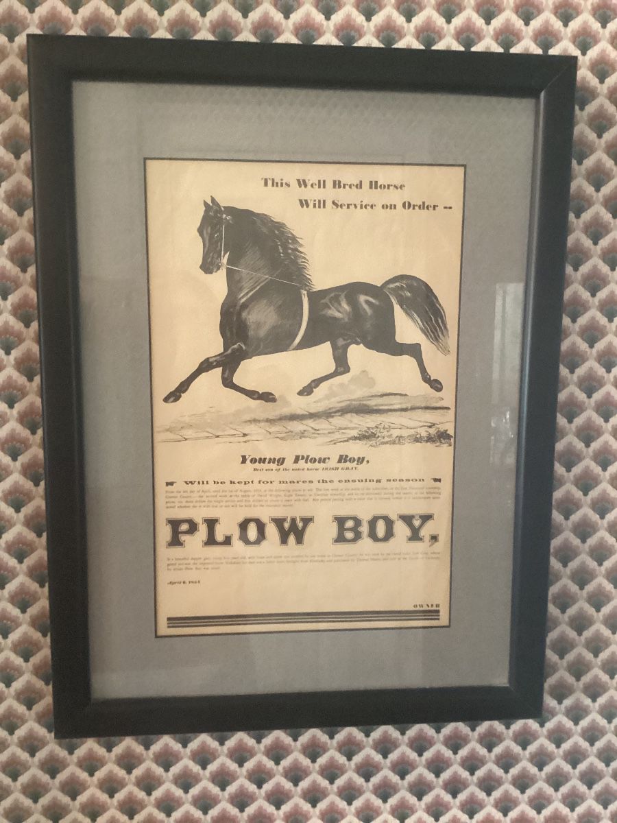 The Best of Times Estate Sale