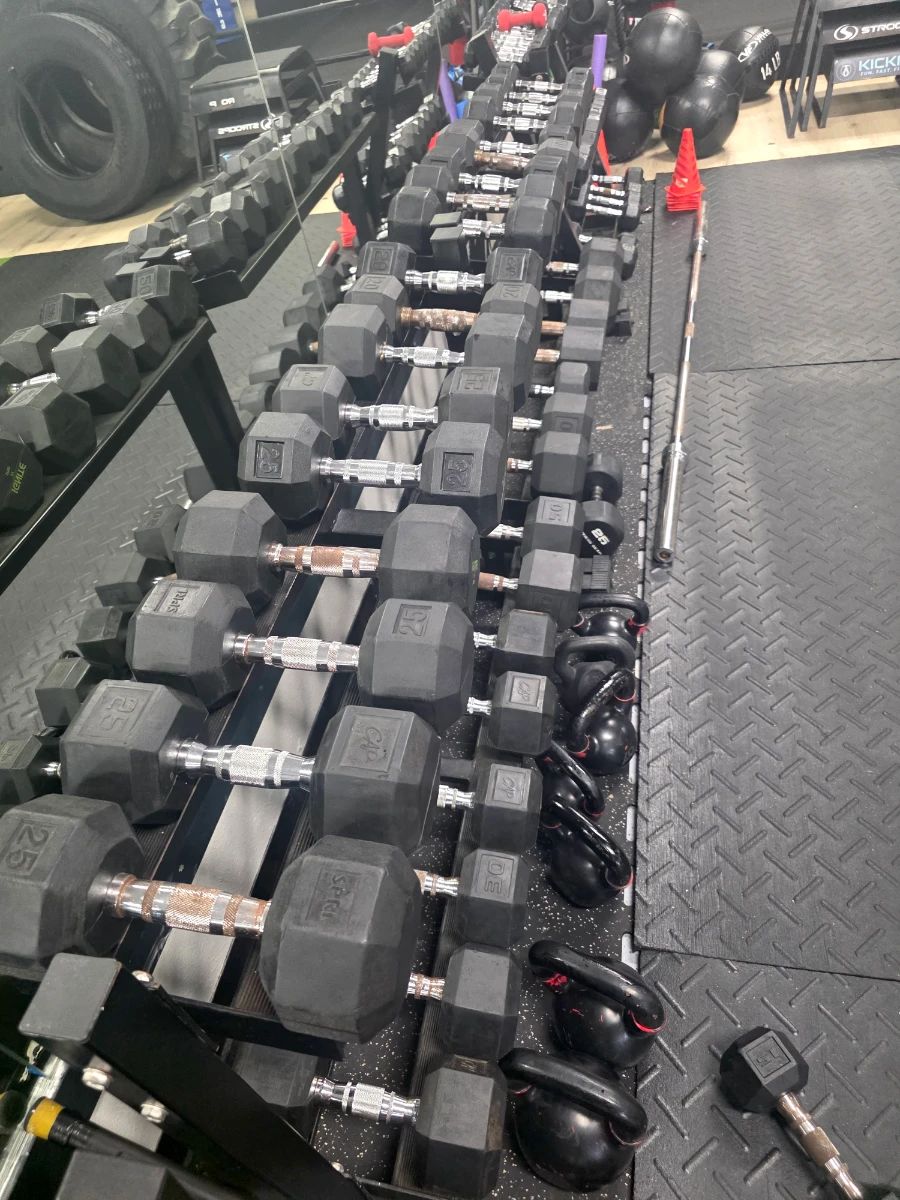 SARA'S ESTATE SALE liquidation of COMMERCIAL GYM