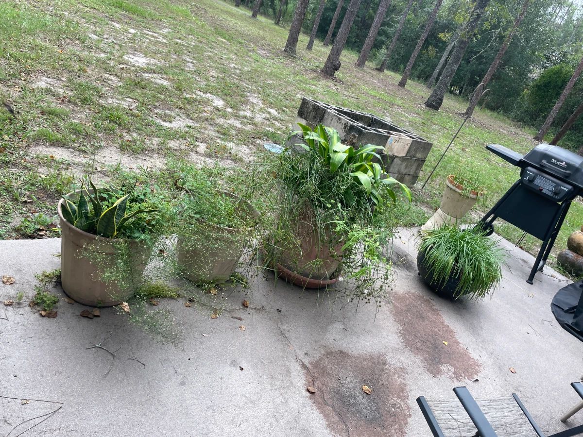 Estate Sale (Dunnellon) in the WOODLANDS