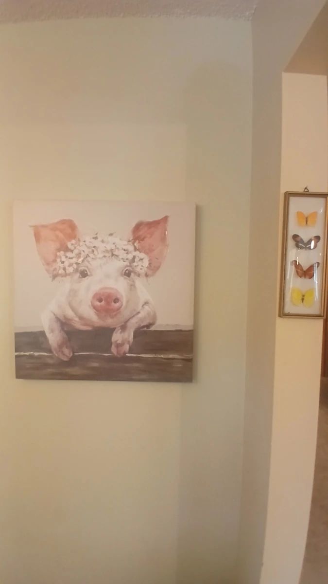 NORTHDALE ESTATE SALE - TAMPA