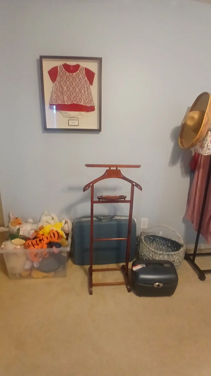 Bedroom & Closet Storage Lot