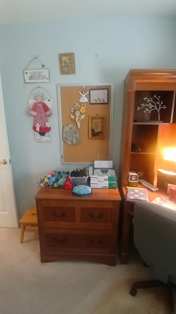 Desk and Office Supplies Lot