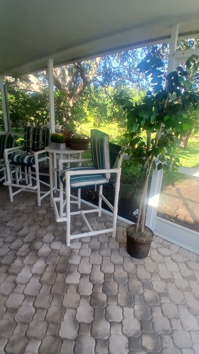 Outdoor Bar Stools and Table Set with Ficus Tree