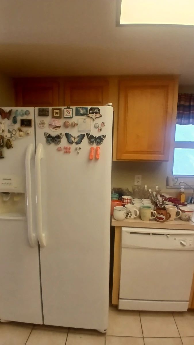 Kitchenware & Refrigerator Decor Lot