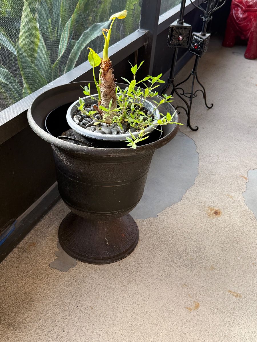 CANT TAKE IT WITH YOU - ESTATE SALE