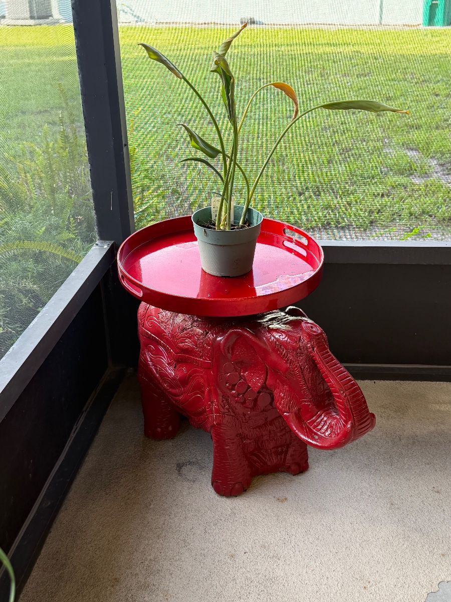 CANT TAKE IT WITH YOU - ESTATE SALE