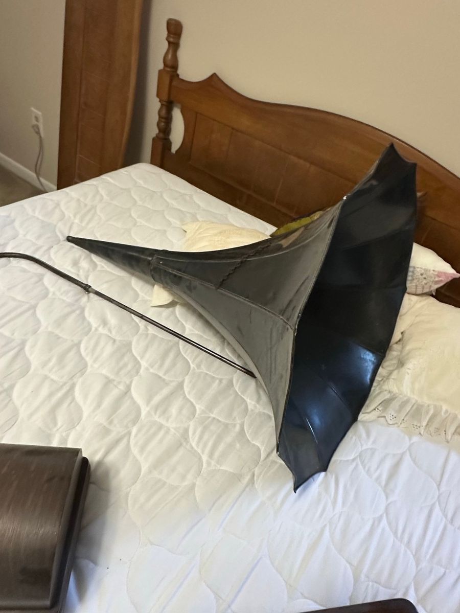 Carrollwood: A World of Vintage Charm!