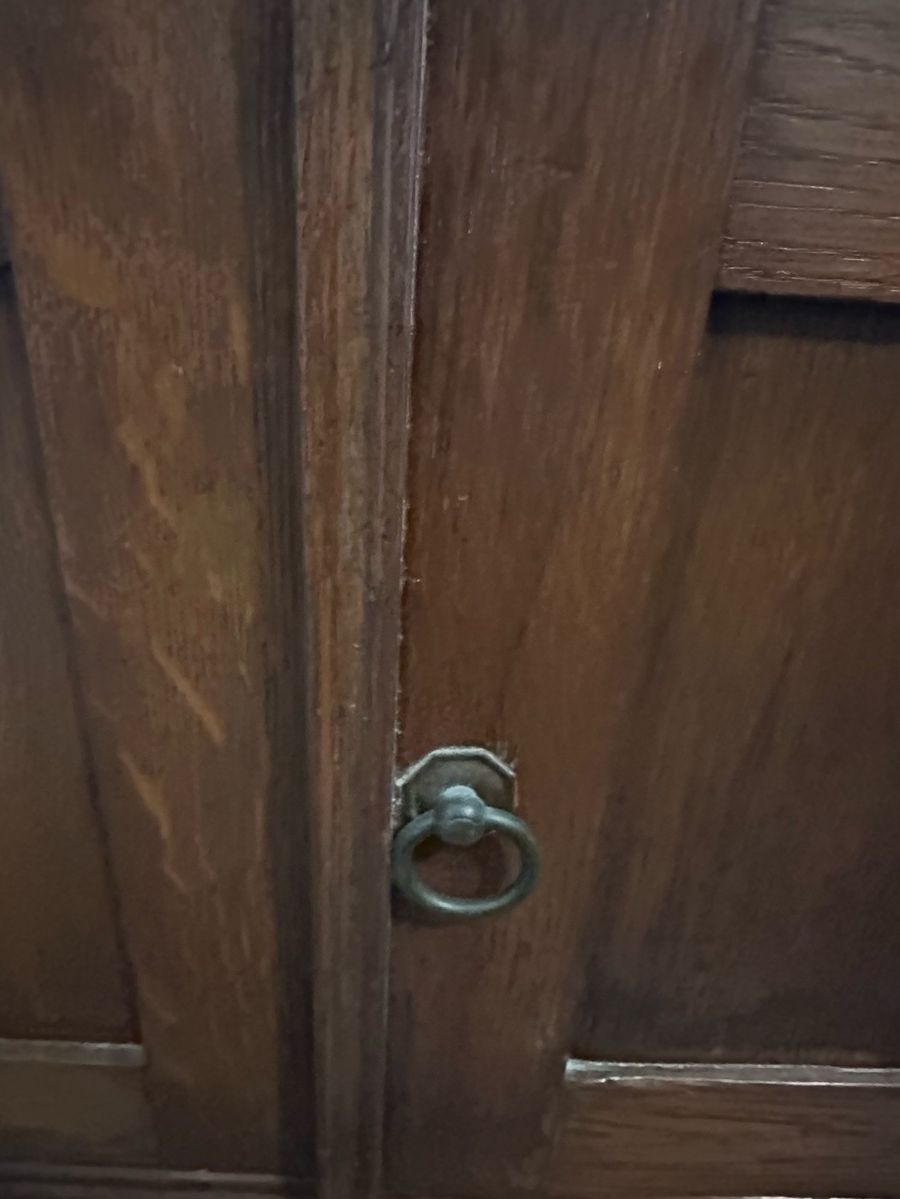 Vintage Wooden Cabinet Door with Ring Pull Hardware